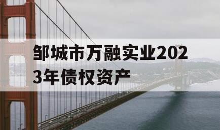 邹城市万融实业2023年债权资产