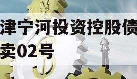 天津宁河投资控股债权拍卖02号