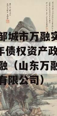 山东邹城市万融实业2023年债权资产政府债定融（山东万融企业服务有限公司）