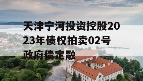 天津宁河投资控股2023年债权拍卖02号政府债定融