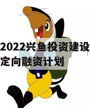 2022兴鱼投资建设定向融资计划