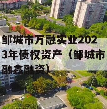 邹城市万融实业2023年债权资产（邹城市融鑫融资）