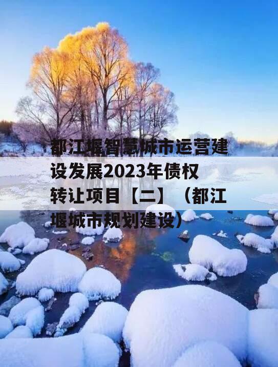 都江堰智慧城市运营建设发展2023年债权转让项目【二】（都江堰城市规划建设）