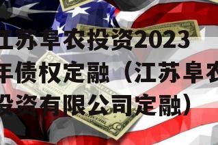 江苏阜农投资2023年债权定融（江苏阜农投资有限公司定融）