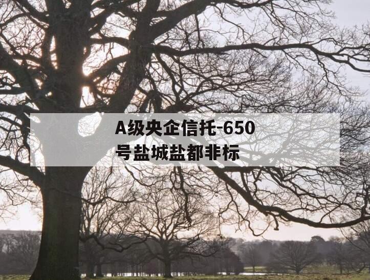 A级央企信托-650号盐城盐都非标