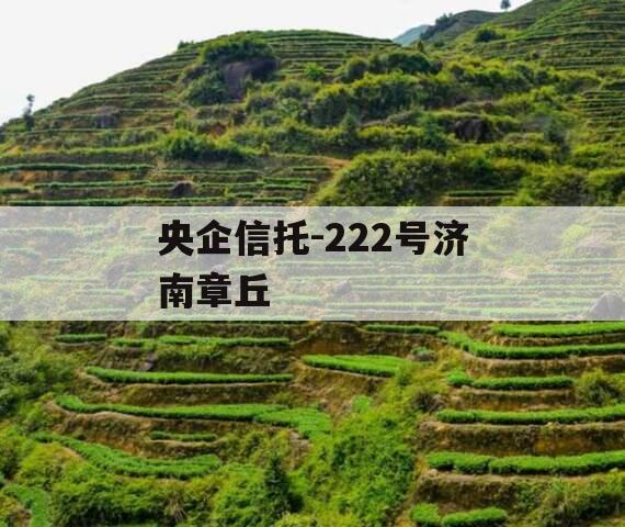 央企信托-222号济南章丘