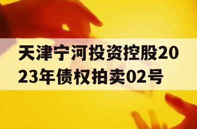 天津宁河投资控股2023年债权拍卖02号