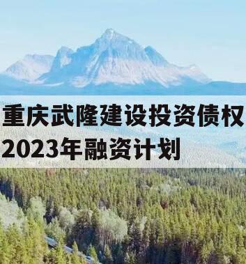 重庆武隆建设投资债权2023年融资计划