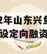 2022年山东兴鱼投资建设定向融资计划