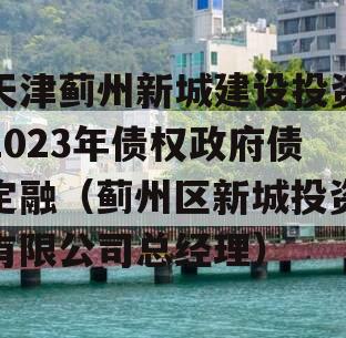 天津蓟州新城建设投资2023年债权政府债定融（蓟州区新城投资有限公司总经理）