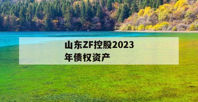 山东ZF控股2023年债权资产