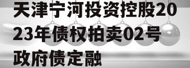 天津宁河投资控股2023年债权拍卖02号政府债定融