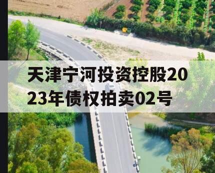 天津宁河投资控股2023年债权拍卖02号