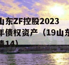 山东ZF控股2023年债权资产（19山东债14）