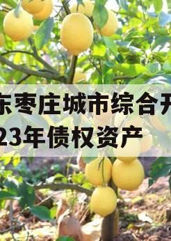 山东枣庄城市综合开发2023年债权资产