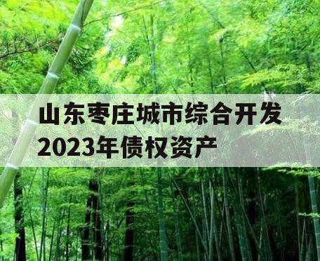 山东枣庄城市综合开发2023年债权资产