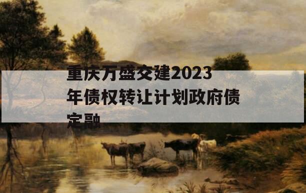 重庆万盛交建2023年债权转让计划政府债定融