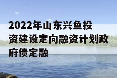 2022年山东兴鱼投资建设定向融资计划政府债定融