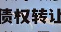 山东邹城市城资控股2023年债权转让（邹城城资公司是国企吗）