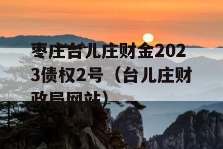 枣庄台儿庄财金2023债权2号（台儿庄财政局网站）