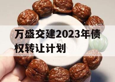 万盛交建2023年债权转让计划