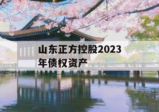 山东正方控股2023年债权资产