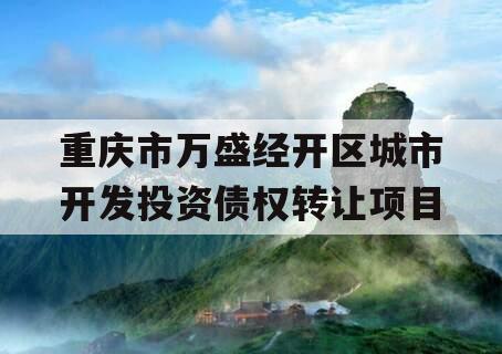 重庆市万盛经开区城市开发投资债权转让项目