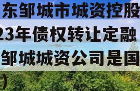 山东邹城市城资控股2023年债权转让定融（邹城城资公司是国企吗）