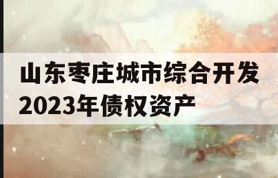 山东枣庄城市综合开发2023年债权资产