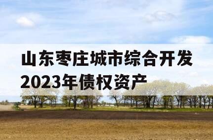 山东枣庄城市综合开发2023年债权资产