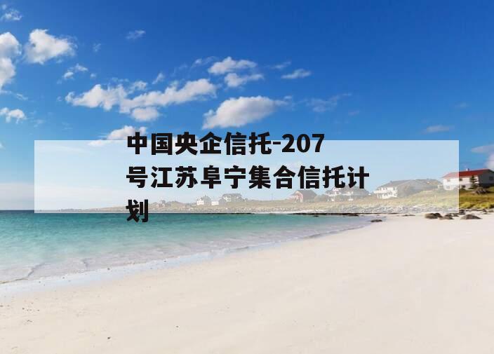 中国央企信托-207号江苏阜宁集合信托计划