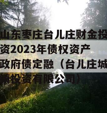 山东枣庄台儿庄财金投资2023年债权资产政府债定融（台儿庄城镇投资有限公司）