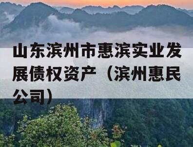 山东滨州市惠滨实业发展债权资产（滨州惠民公司）