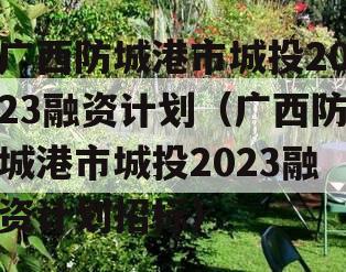 广西防城港市城投2023融资计划（广西防城港市城投2023融资计划招标）