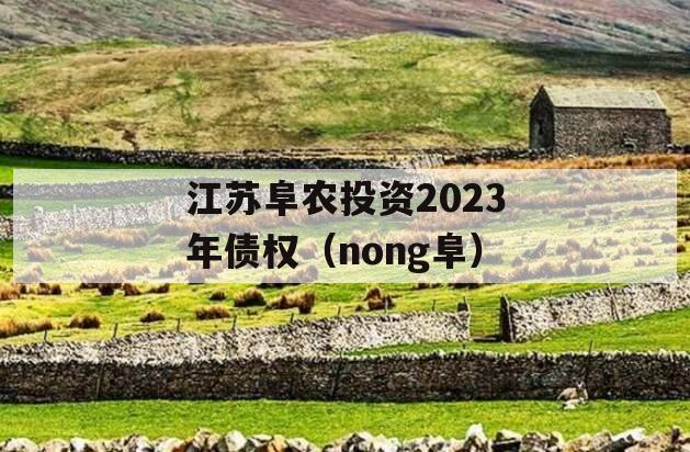 江苏阜农投资2023年债权（nong阜）