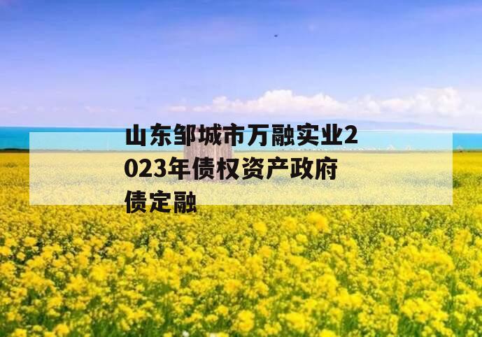 山东邹城市万融实业2023年债权资产政府债定融