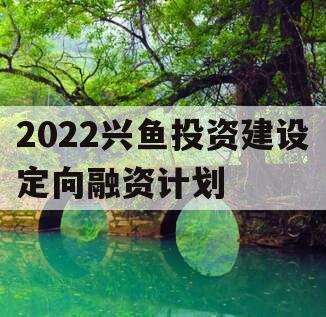 2022兴鱼投资建设定向融资计划