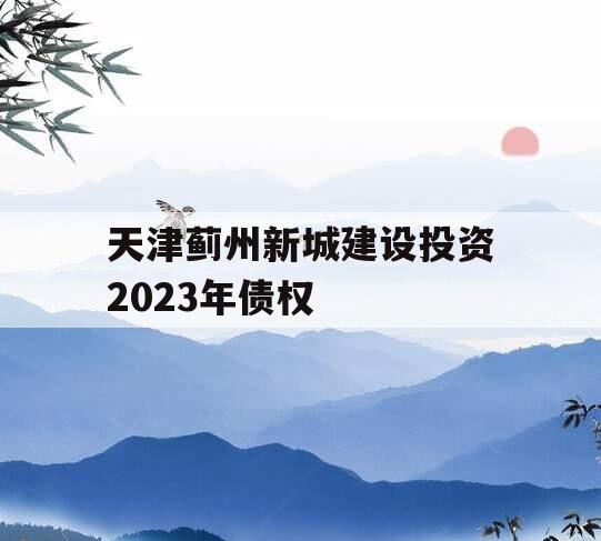 天津蓟州新城建设投资2023年债权