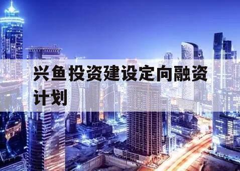 兴鱼投资建设定向融资计划