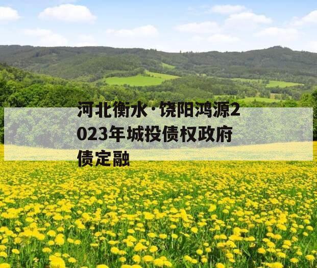 河北衡水·饶阳鸿源2023年城投债权政府债定融