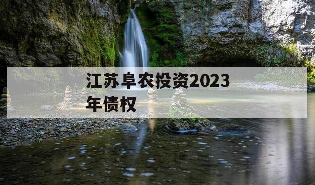 江苏阜农投资2023年债权