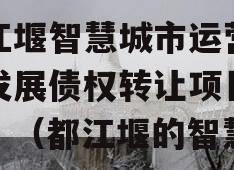 都江堰智慧城市运营建设发展债权转让项目【二】（都江堰的智慧）