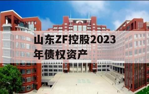 山东ZF控股2023年债权资产