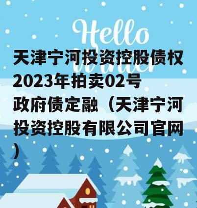 天津宁河投资控股债权2023年拍卖02号政府债定融（天津宁河投资控股有限公司官网）