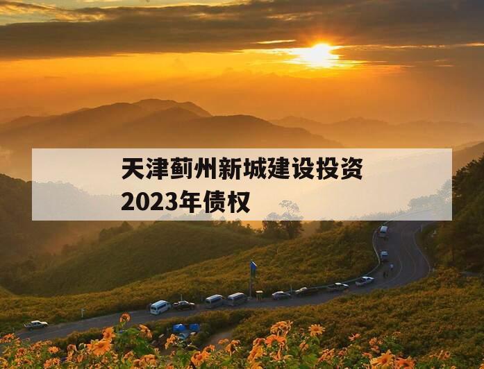 天津蓟州新城建设投资2023年债权