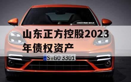 山东正方控股2023年债权资产