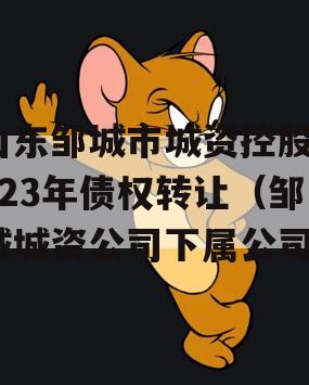 山东邹城市城资控股2023年债权转让（邹城城资公司下属公司）