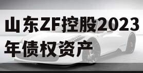 山东ZF控股2023年债权资产