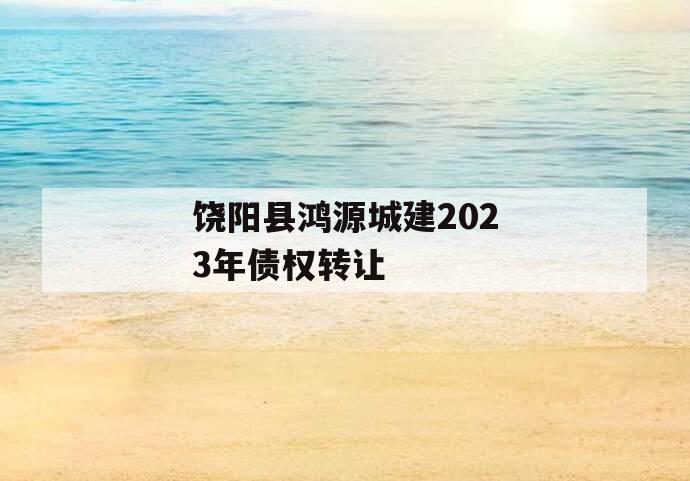 饶阳县鸿源城建2023年债权转让