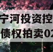 天津宁河投资控股2023年债权拍卖02号